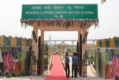 noida gets gift of underpass and medicinal and herbal garden know all features
