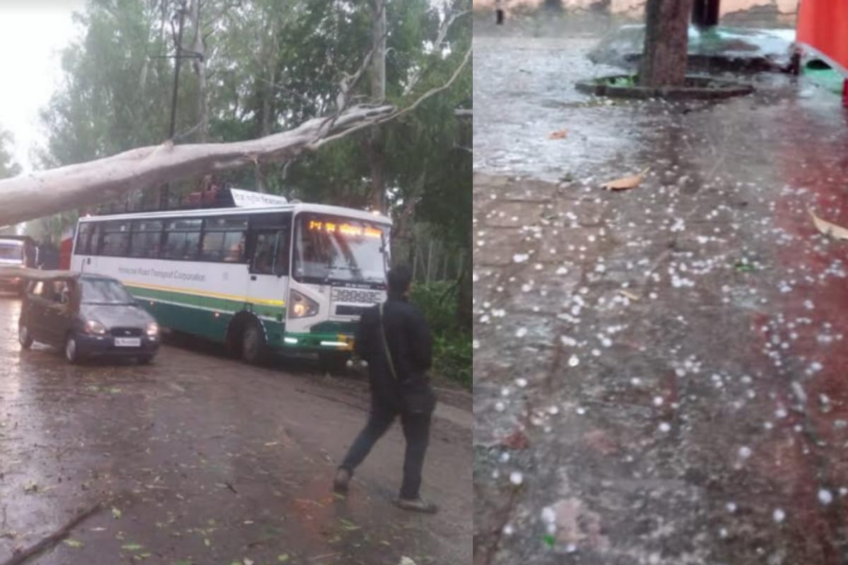 rain increase the tension of farmer in many districts of western UP