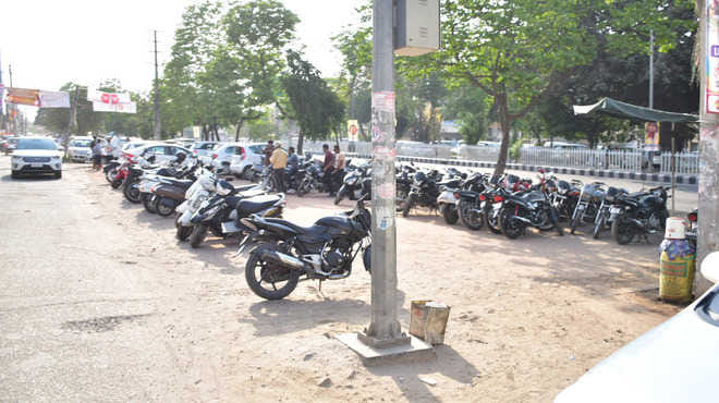 Many Trees Cut in Punjab University Chandigarh for 27 Parking