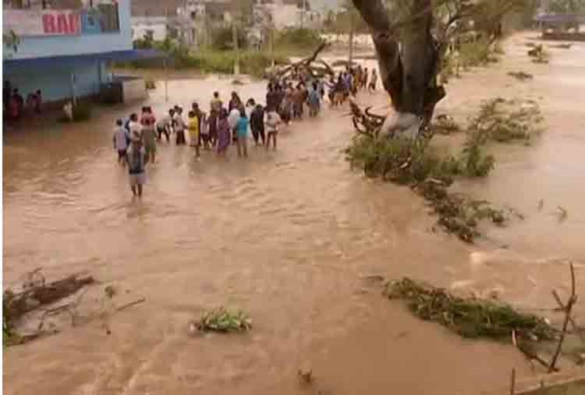 Odisha Flood News: Fire Personnel Rescued 115 People From Floods In Odisha Relief And Rescue Operations Till Now Continue