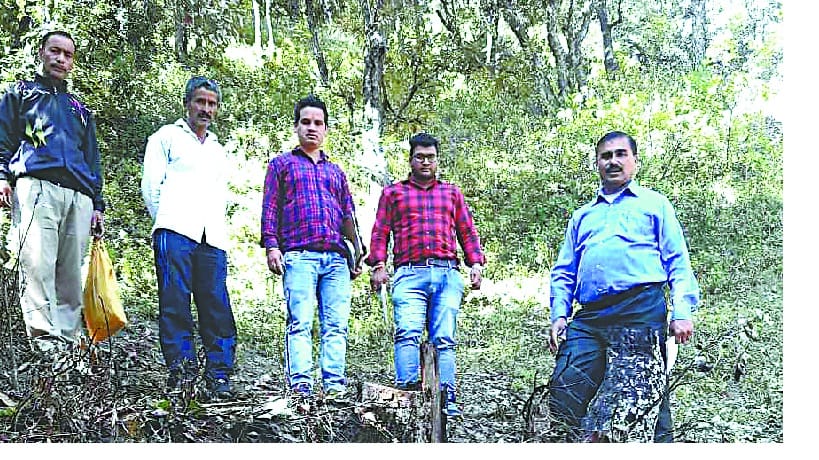 Forest Department reviews again