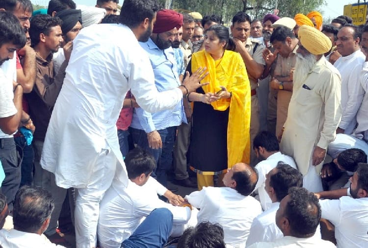 heavy losses to crops Due to rain in haryana