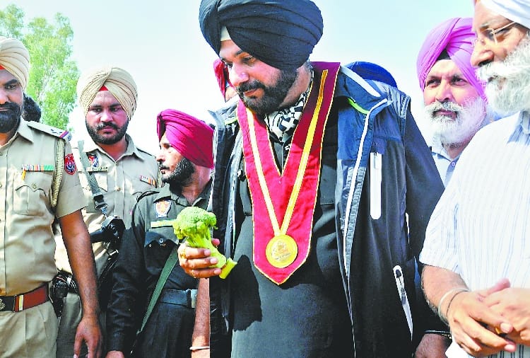 World Food Festival starts in Amritsar