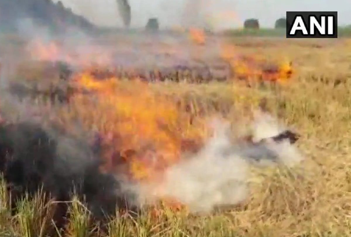 The farmer is weak, so the pollution of Delhi is busting on his head