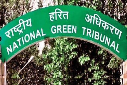 Uttarakhand: शीशमबाड़ा प्लांट को लेकर NGT ने बनाई हाई पावर कमेटी, वेस्ट मैनेजमेंट का समाधान तलाशने के निर्देश Uttarakhand News NGT forms high power committee regarding Shishambara waste management plant