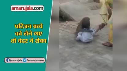 VIRAL VIDEO: monkey playing with a child