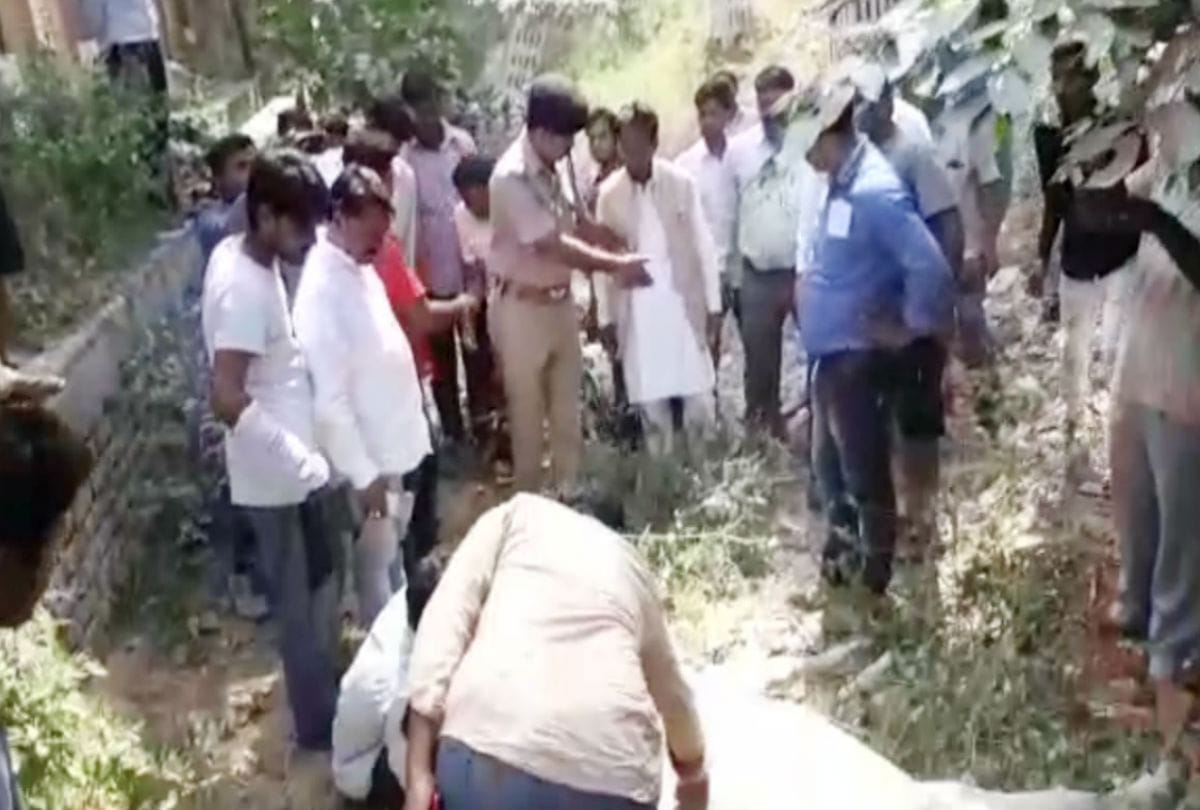 thirteen cows dies within one km radius in firozabad