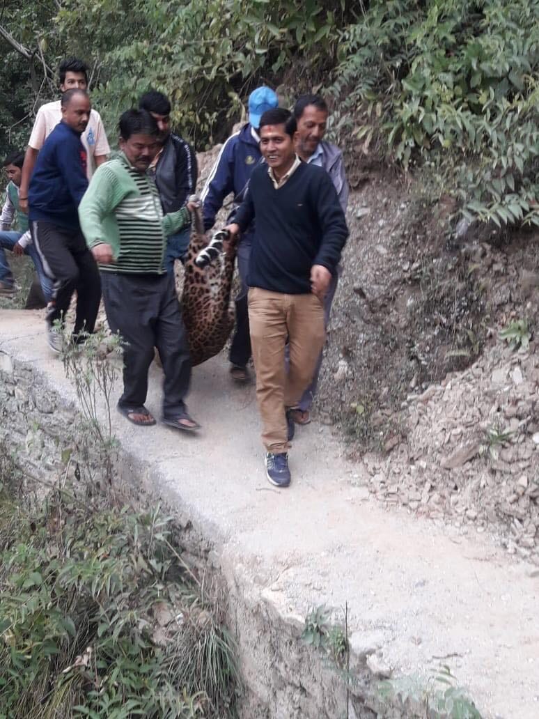 after 10 days man eater leopard hunted in bageshwar