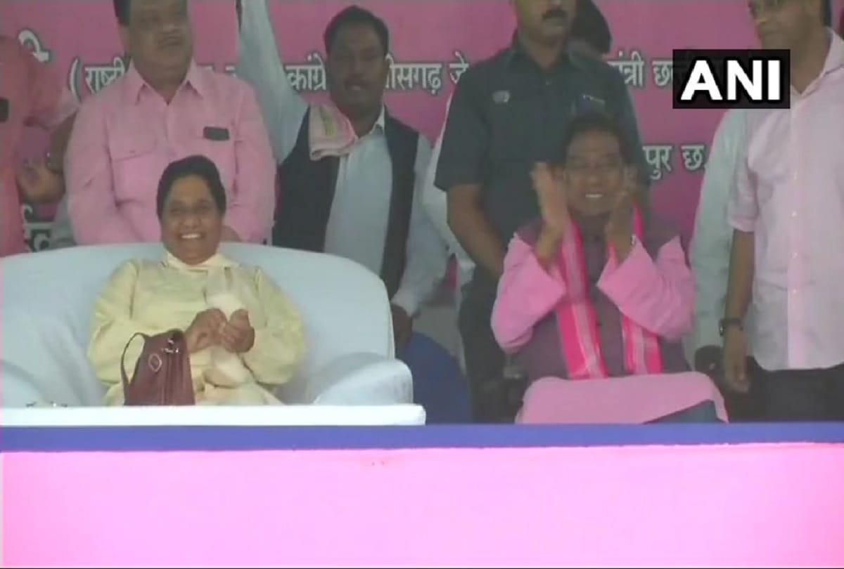 Chhattisgarh assembly election 2018: Jogi Maya Factor in Trend story behind alliance of BSP JCC