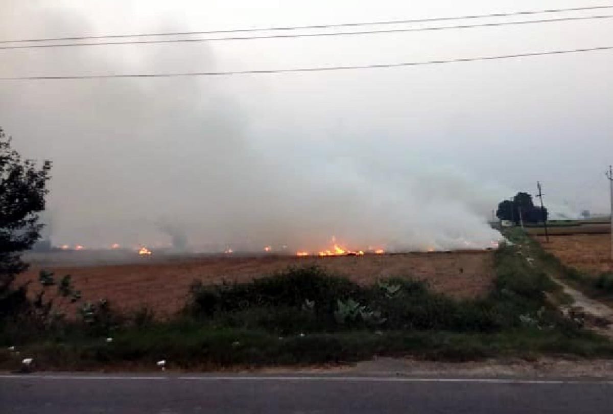 Incidents of stubble burnling lowest in haryana