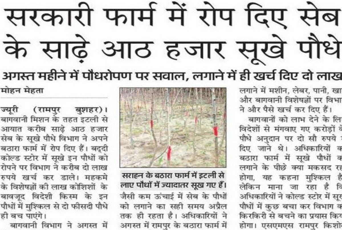himachal govt probe into case of apple plants