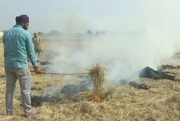 Farmers in Amritsar continue stubble burning