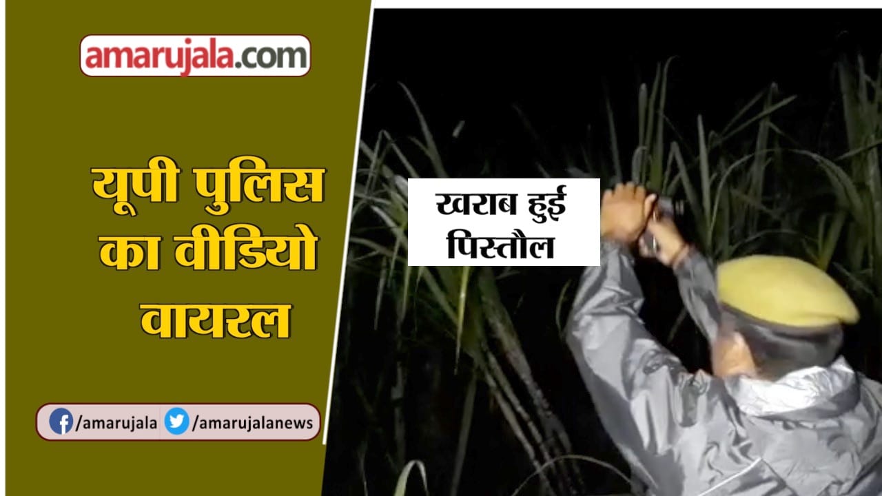 यूपी न्यूज