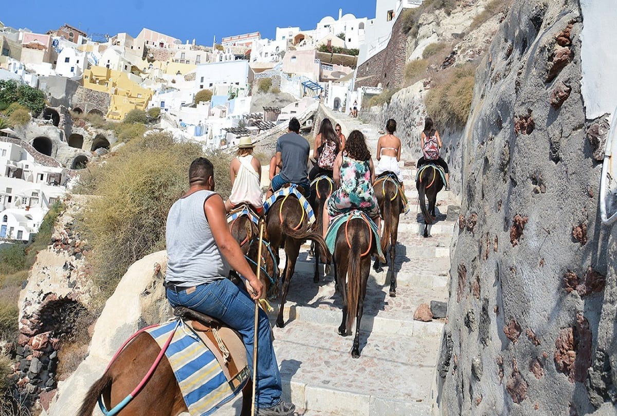 Greece bans overweight tourists from riding donkeys