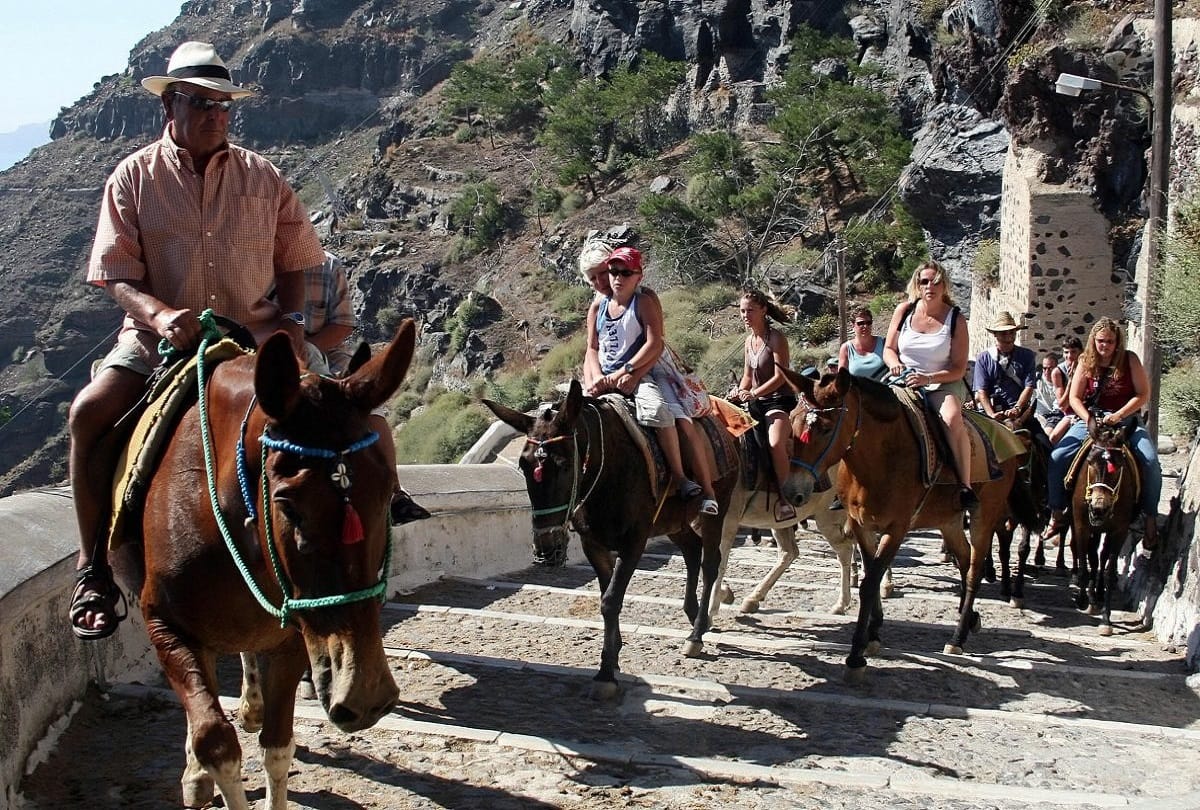 Greece bans overweight tourists from riding donkeys