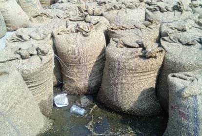 500 laborers sick after drinking contaminated water in asandh