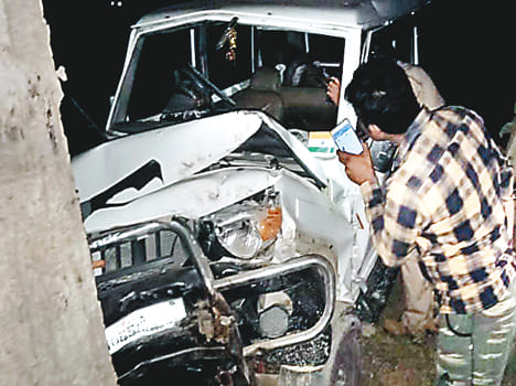 Unruly Bolero collided with tree, seven injured