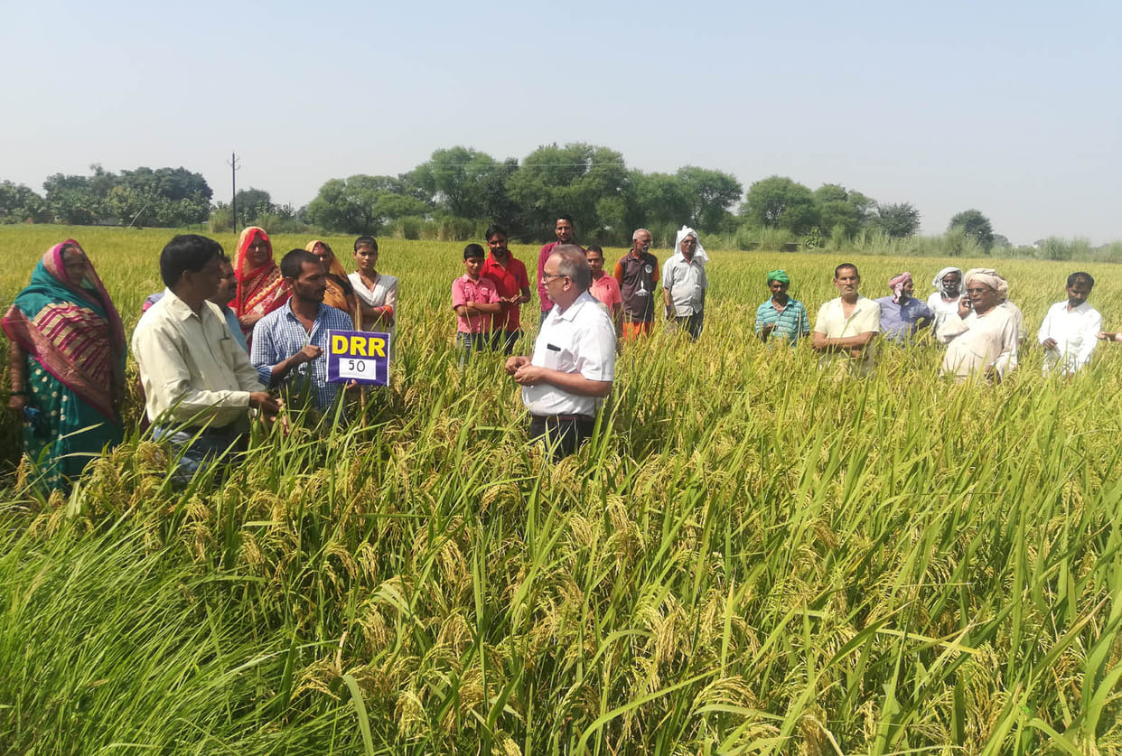 'DRR-50' floods, able to withstand dry