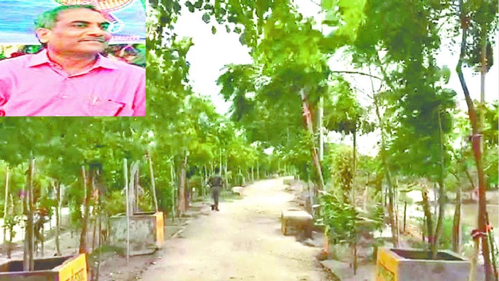 Pradeep Bansal has planted one lakh twenty five thousand saplings on the banks of Yamuna