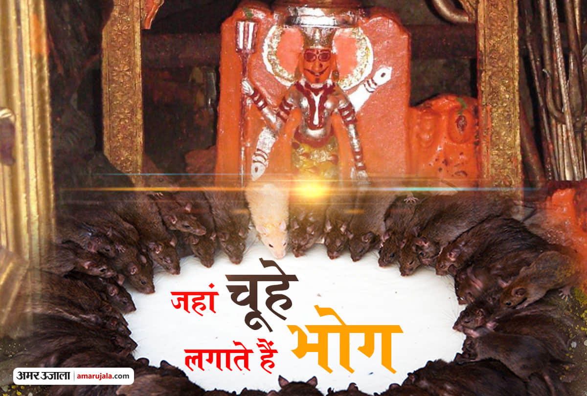 navratri day 5 karni mata rats temple of india in rajasthan