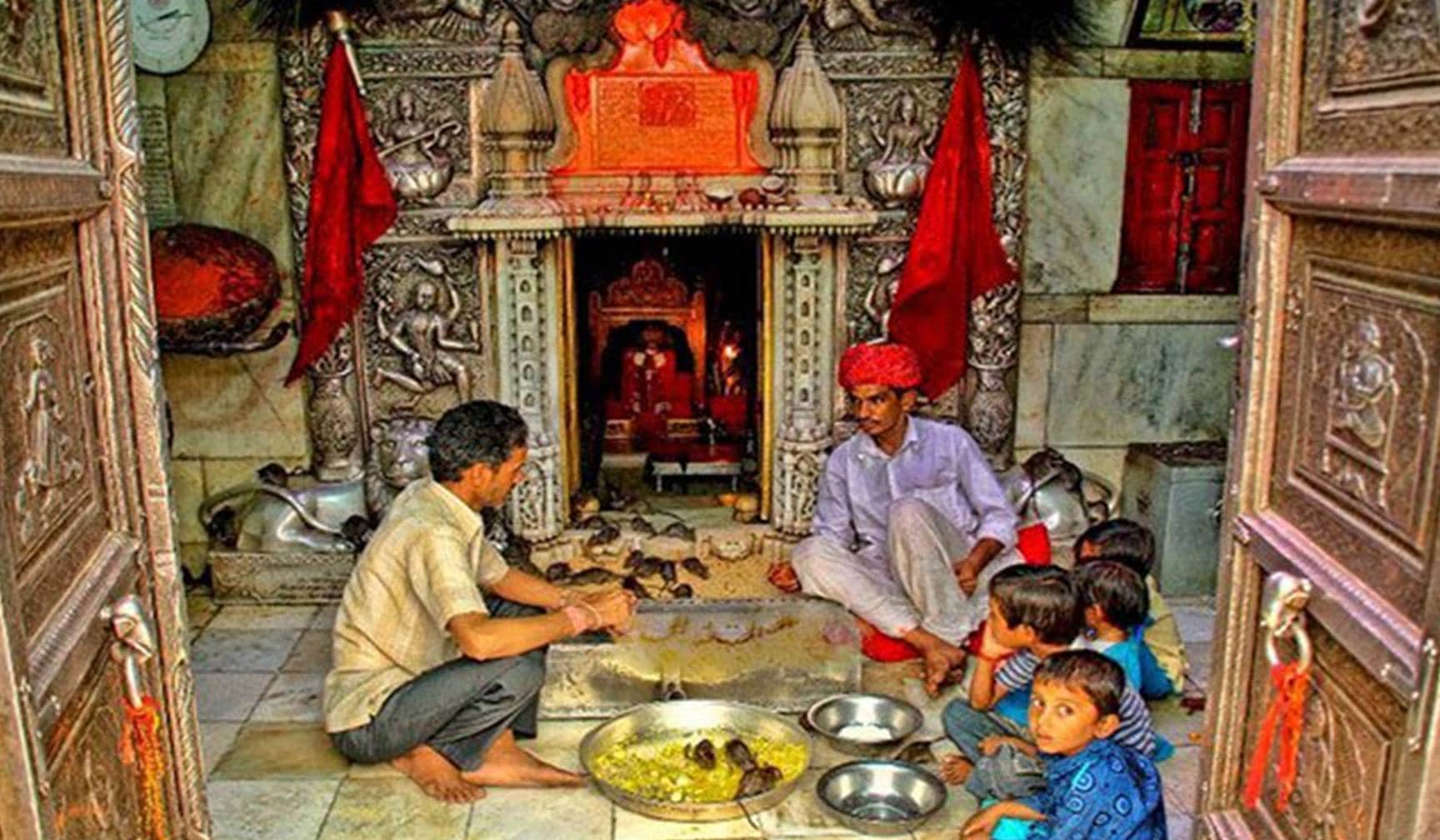 navratri day 5 karni mata rats temple of india in rajasthan