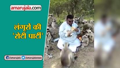 SOCIAL MEDIA VIRAL VIDEO ANIMAL VIDEO LANGOOR ROTI PARTY