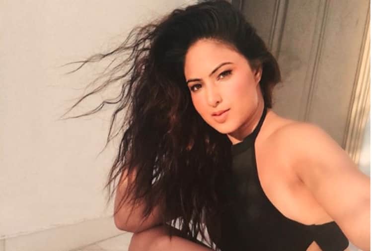 bigg boss 12 contestant sreesanth ex girlfriend nikesha patel shocking revelation