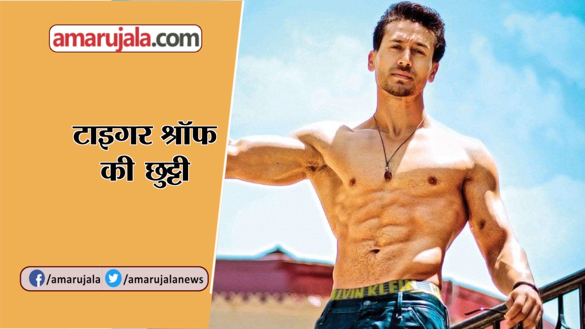 टाइगर