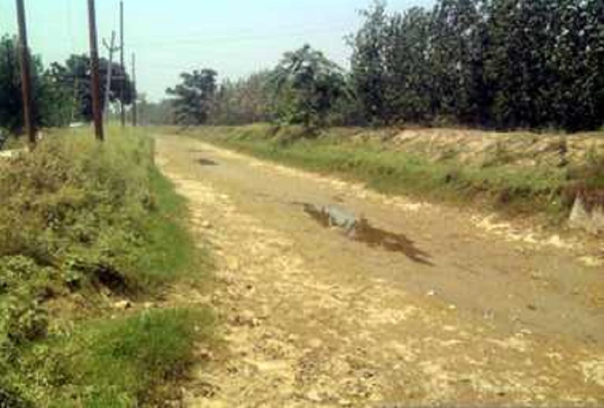 farmers demand water for their crop irrigation