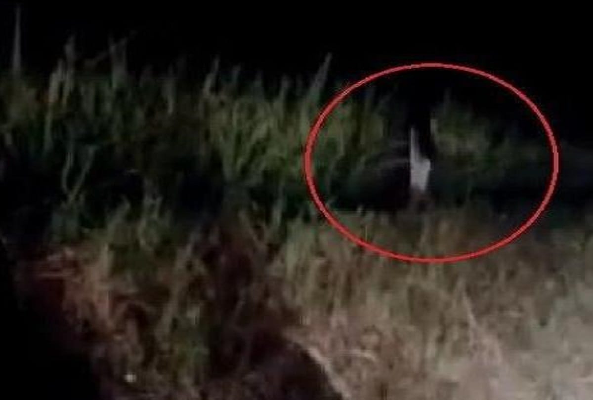 Know the secret of ghosts, thailand ghost video viral in social media