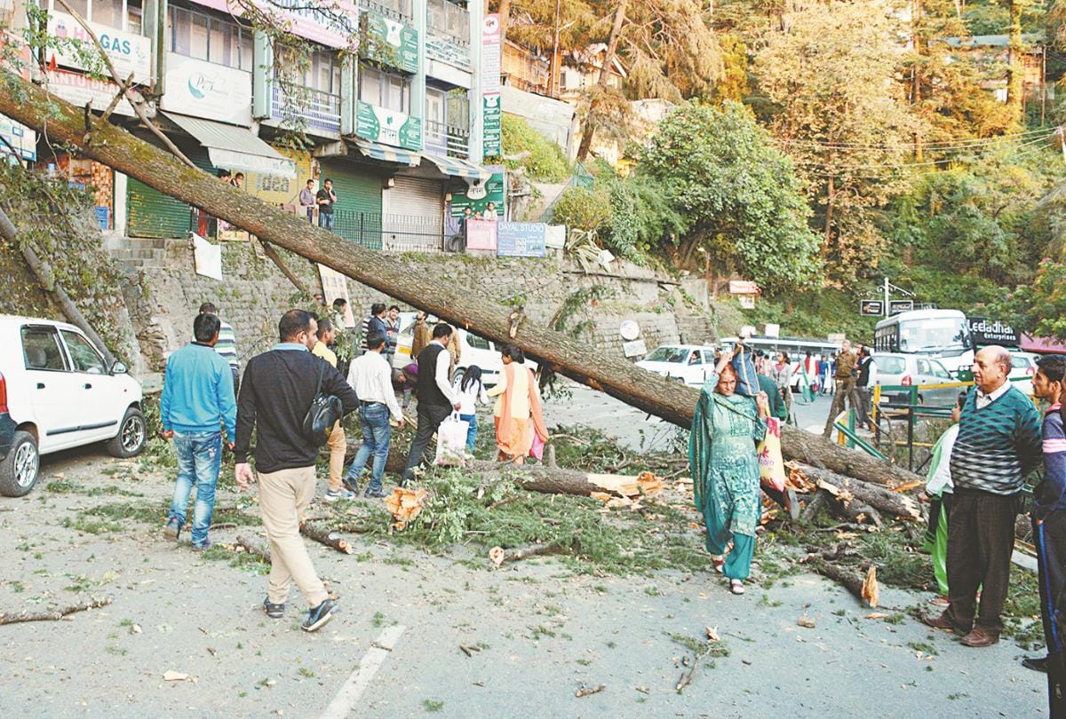 हिमलैंड के पास गिरे पेड़, एक कार क्षतिग्रस्त