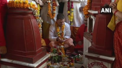 live assembly election 2018 rahul gandhi in madhya pradesh for two days meeting and roadshow