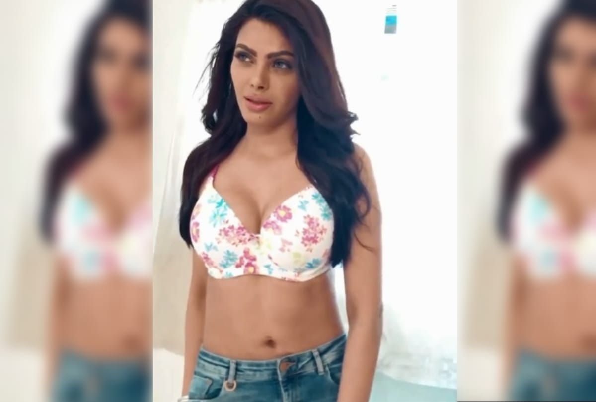 sherlyn chopra becomes sexy santa gets trolled