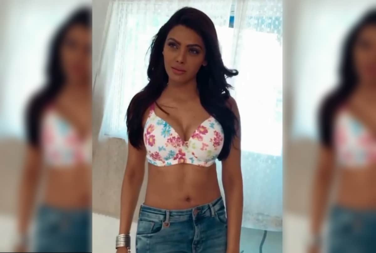 Sherlyn Chopra Birthday: Some unknown facts about the sensational actress