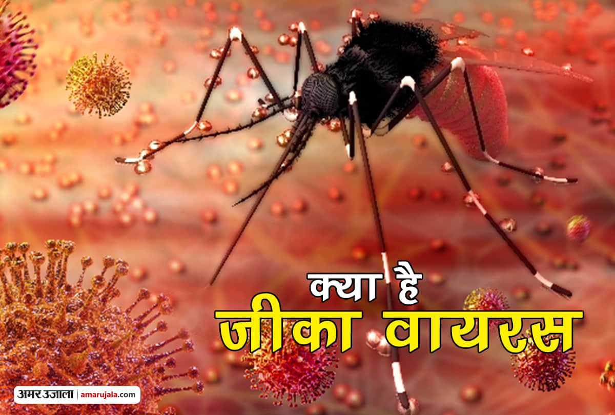 Prevention and History of zika virus spreading through female aedes mosquito bite