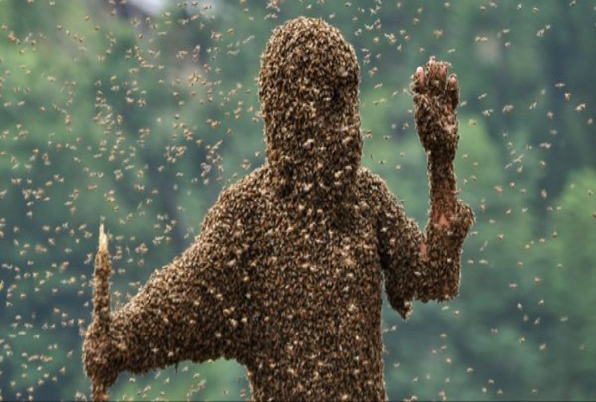 The Lady use bee sting to Acupuncture