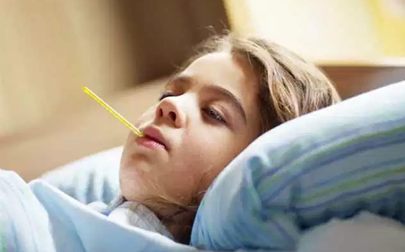 After the Rajasthan-Bihar zika virus gave knock in uttar pradesh