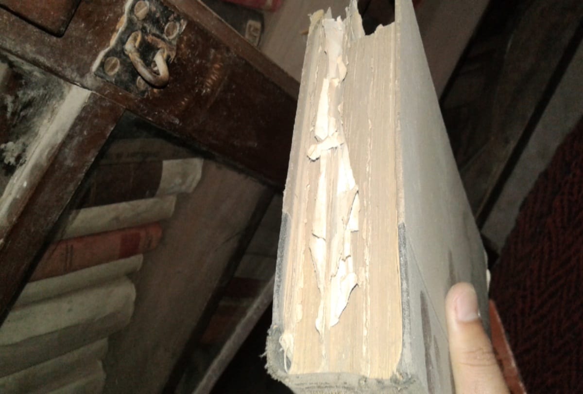 Lord Macaulay's books published 165 years ago found in State library Shimla
