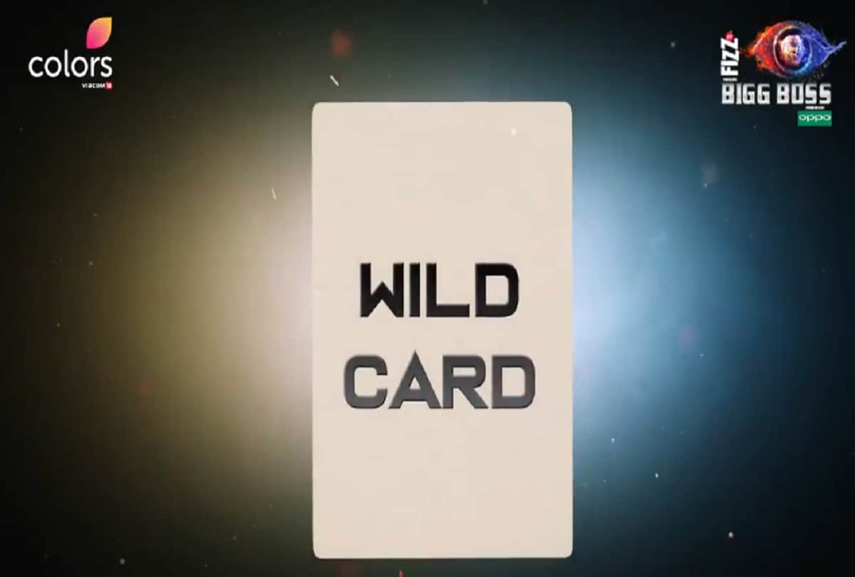 another wild card entry in bigg boss 12 see who is that