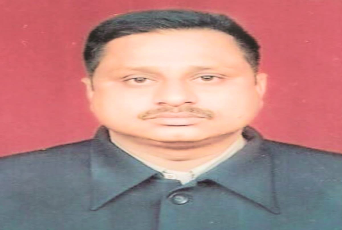 दर्शन सैणी