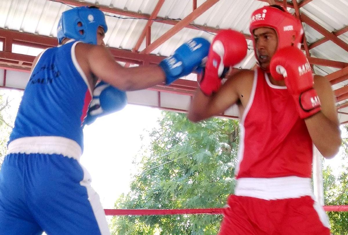 under 19 sports in mandi shimla wins gold medal in boxing