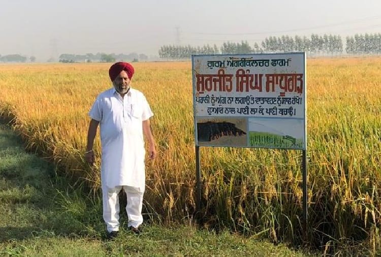Surjeet Singh of Fatehgarh Sahib did not burn stubble for 17 years