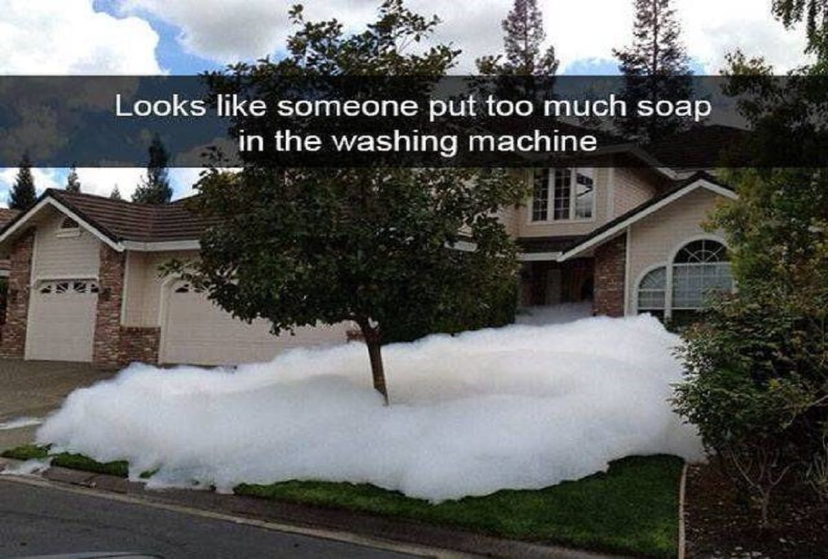 see some funny viral picture on social media