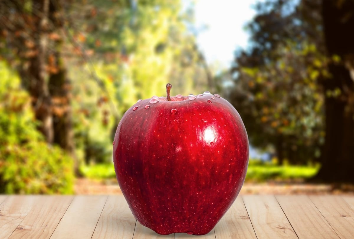 birthplace of modern apple and story behind it