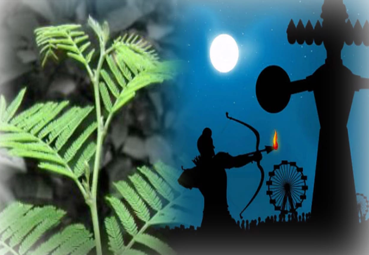 holy and victorious time in Vijaydeshmi