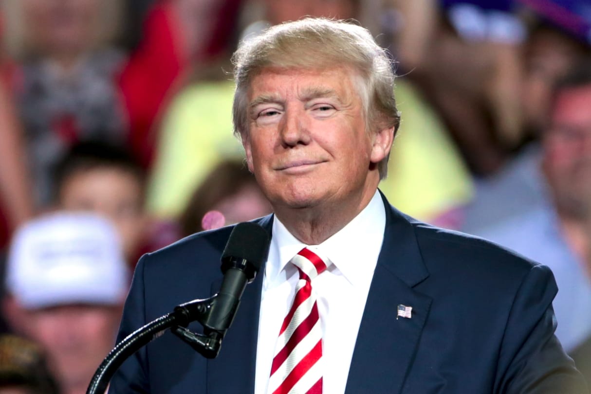 Know Why Melissa Young likes Donald Trump