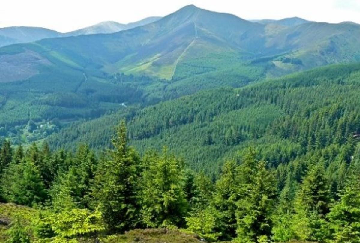 India State of Forest Report-2021: Forest area decreased in 11 states including Delhi