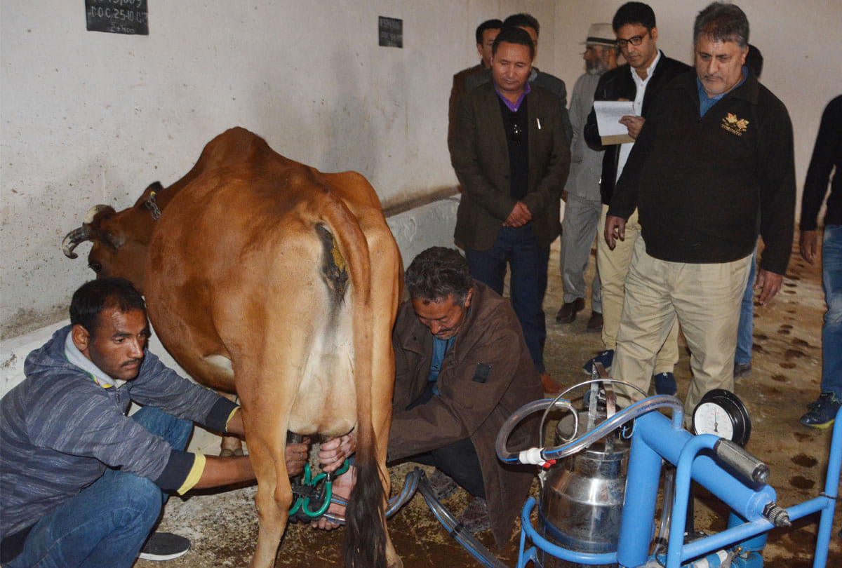 union budget 2020 expectations government should look into dairy sector to boost farmer income