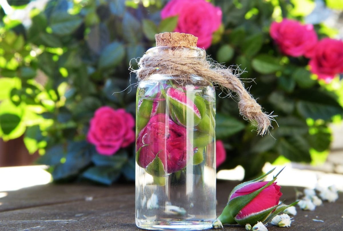 how to use rose water for face in summer season