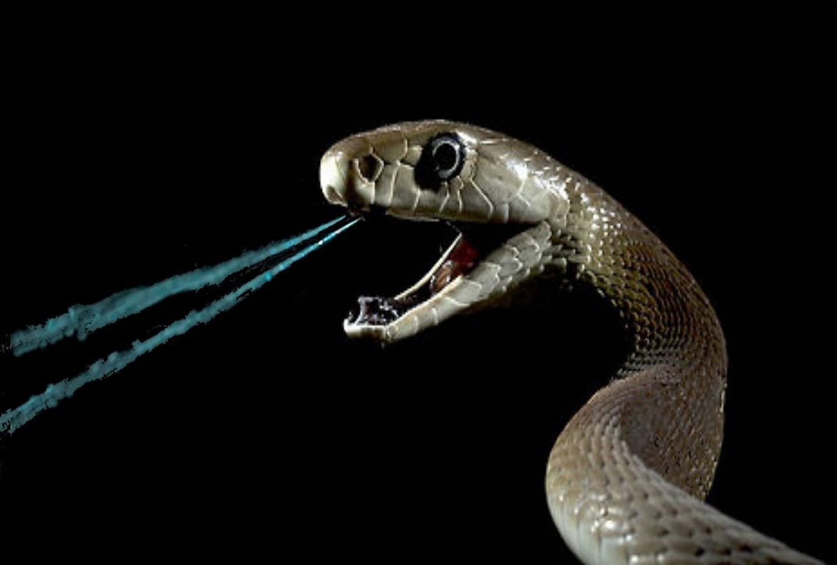 animal Poison can also be use in human life